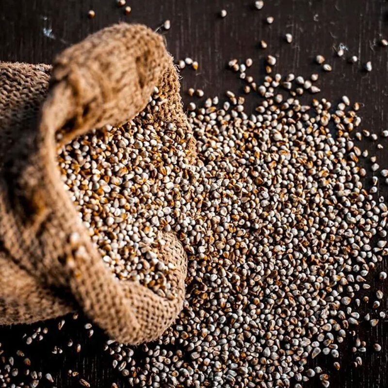Millet (Bajira)