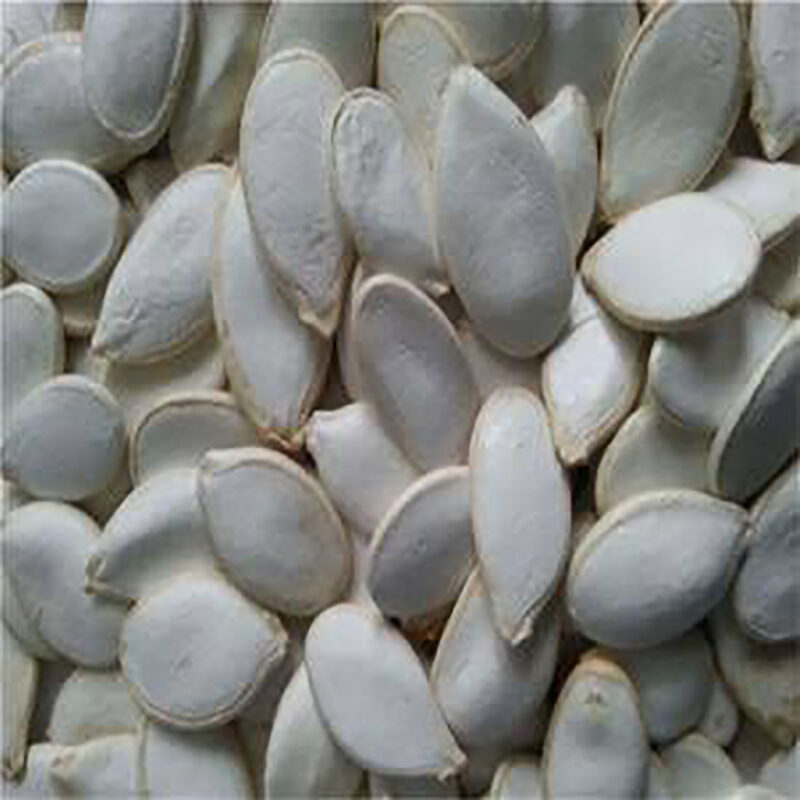 China Seed (namkeen beej)