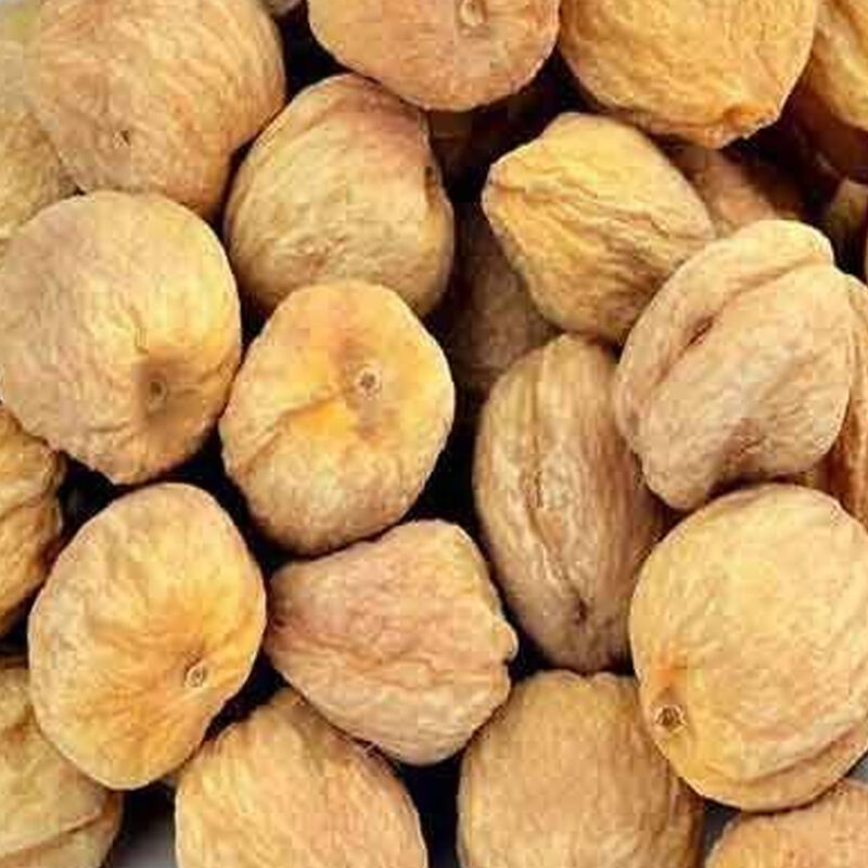 Apricot (Khubani)