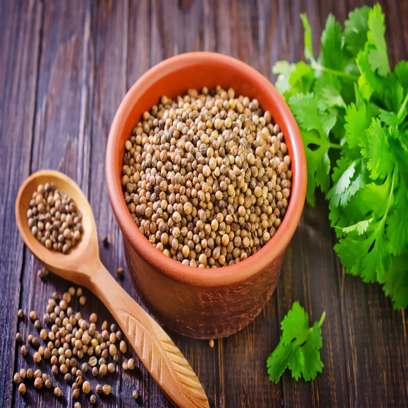 Whole Coriander Seeds India (Sabut Dhania)